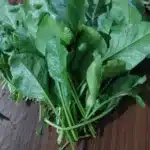 spinach