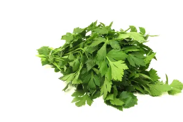 chervil nutrients